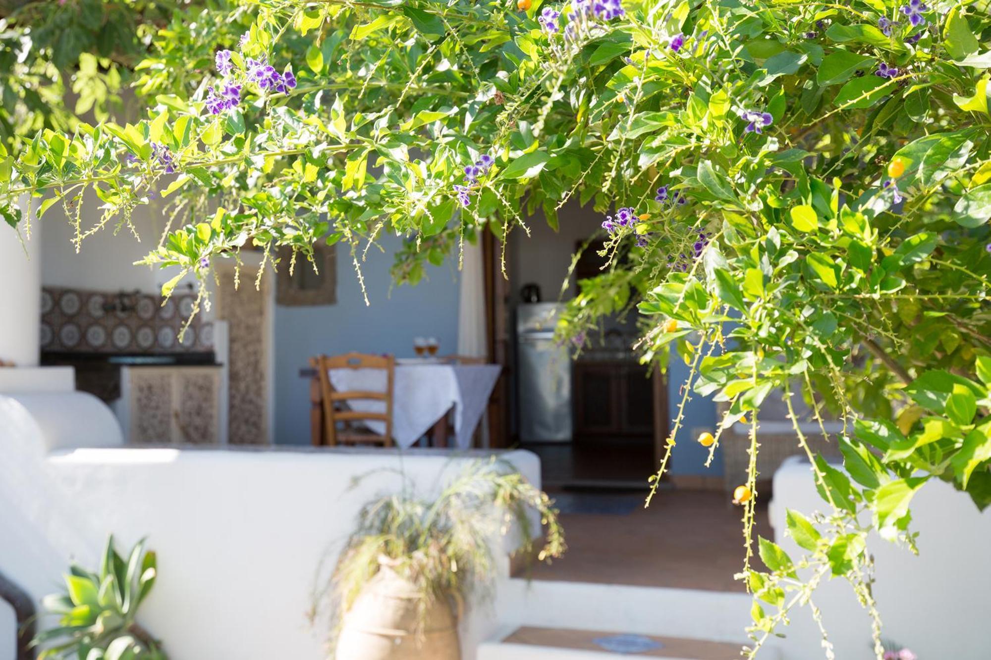 Villa Agrumeto Lipari  Luaran gambar