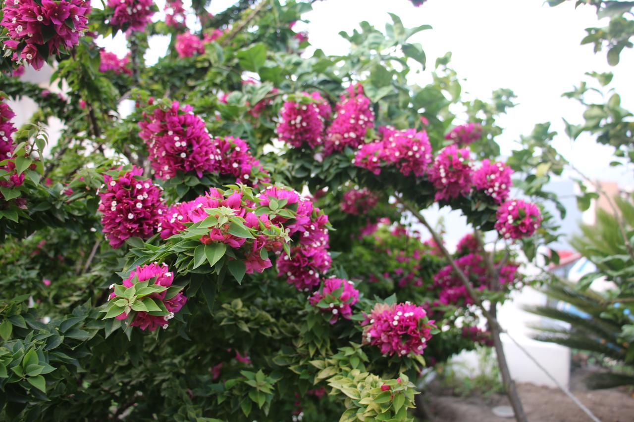 Villa Agrumeto Lipari  Luaran gambar